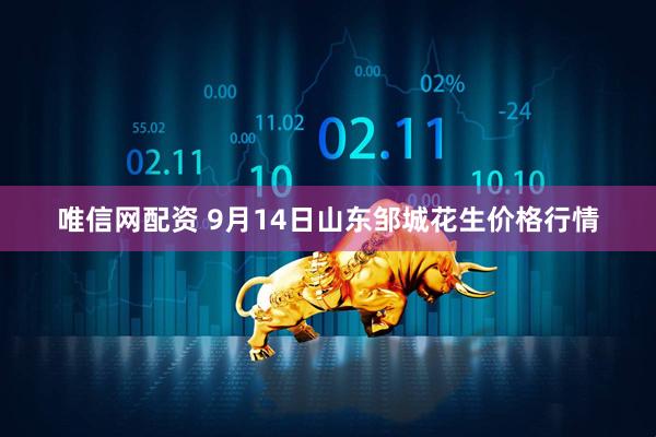唯信网配资 9月14日山东邹城花生价格行情