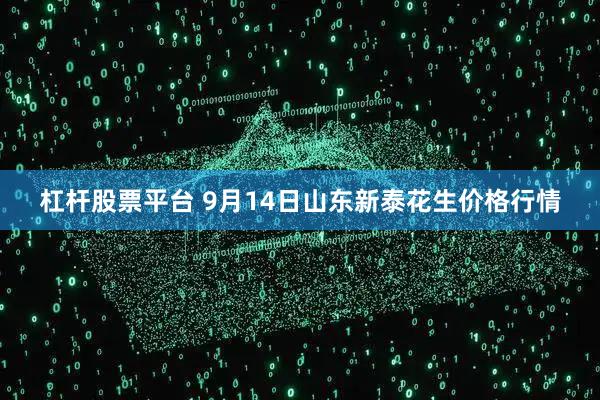 杠杆股票平台 9月14日山东新泰花生价格行情