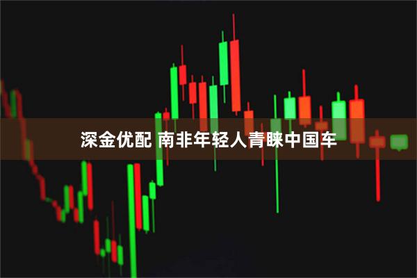 深金优配 南非年轻人青睐中国车