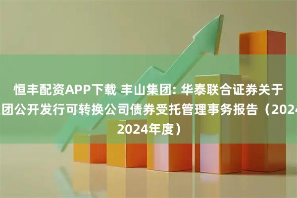 恒丰配资APP下载 丰山集团: 华泰联合证券关于丰山集团公开发行可转换公司债券受托管理事务报告（2024年度）